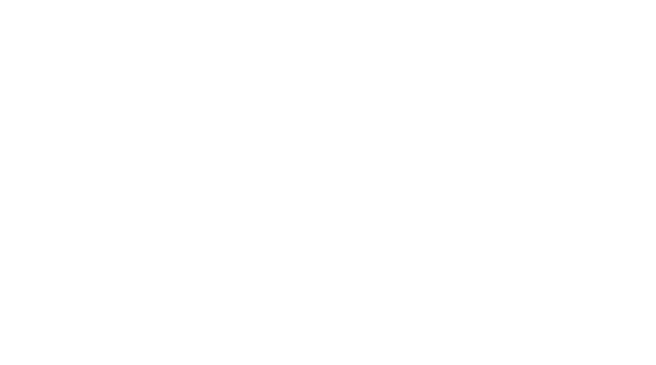 Kiwinurse logo
