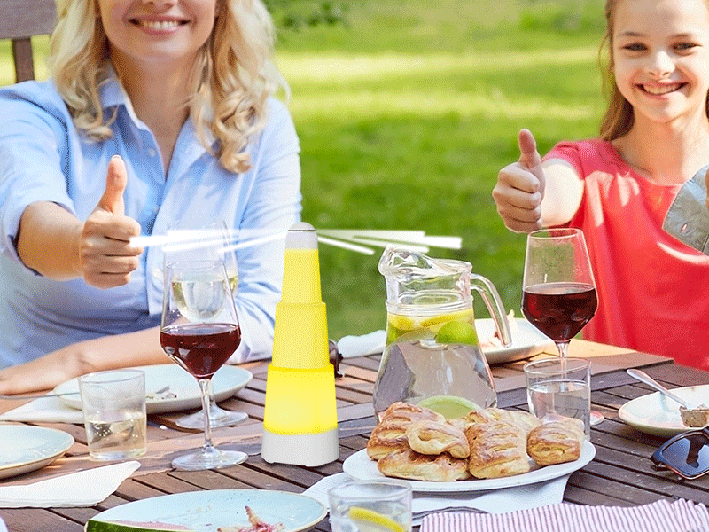 Kiwinurse Fly Fans for Tables - Rechargeable Fly Repellent Fan Indoor Outdoor with Holographic Blades Keep Flies Away for Picnic Patio Home