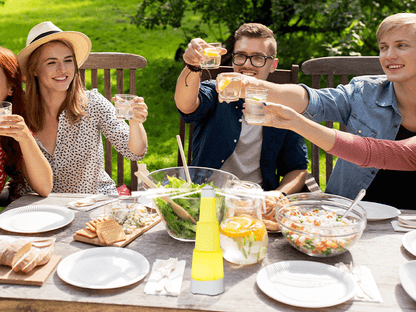 Kiwinurse Fly Fans for Tables - Rechargeable Fly Repellent Fan Indoor Outdoor with Holographic Blades Keep Flies Away for Picnic Patio Home