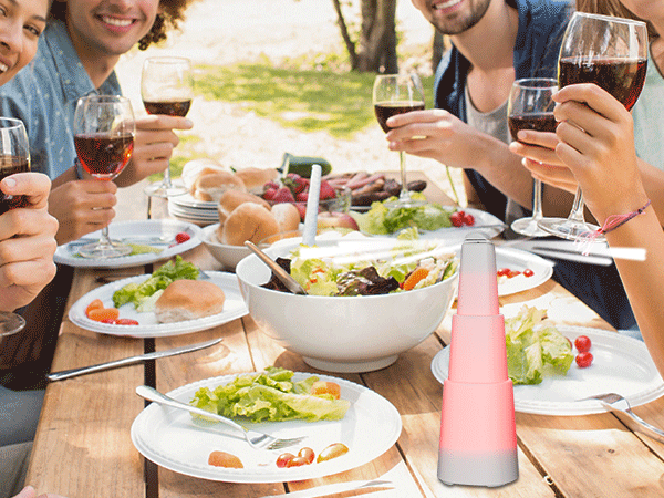 Kiwinurse Fly Fans for Tables - Rechargeable Fly Repellent Fan Indoor Outdoor with Holographic Blades Keep Flies Away for Picnic Patio Home